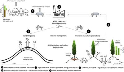 Opportunities and challenges to improve carbon and greenhouse gas budgets of the forest industry through better management of pulp and paper by-products